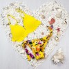 Bikini Malva Amarelo