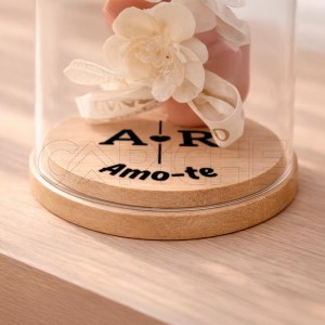 Rosa Preservada em Campânula