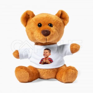 Urso de peluche com foto