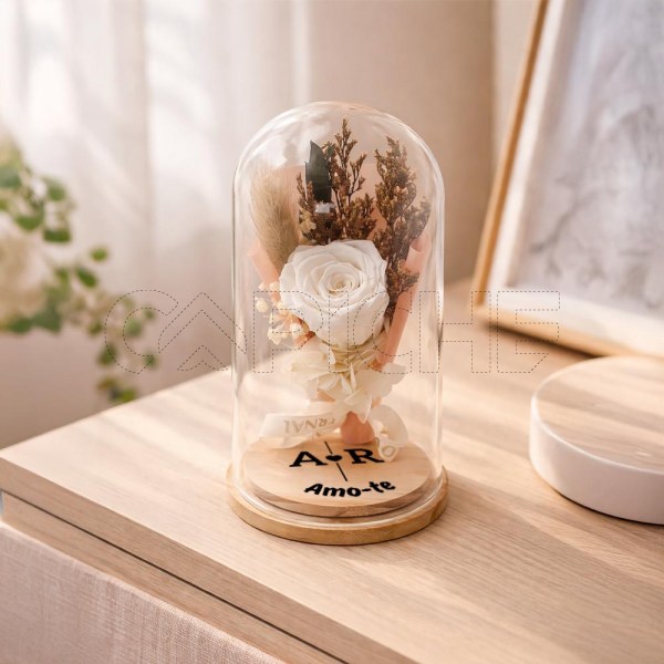 Rosa Preservada em Campânula