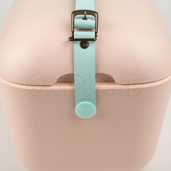 Mala Térmica Polarbox 20L Rosa - Alça Verde Água