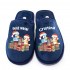 Chinelos  Pantufas e Havaianas